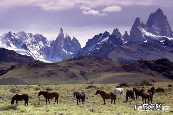 世界上最大的山脉是什么?