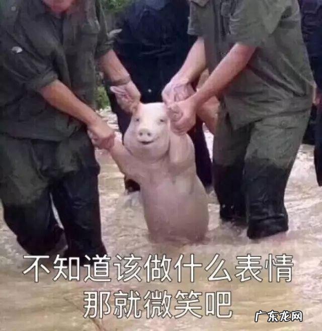 为什么欧阳娜娜看起来没涂口红也很有气色?