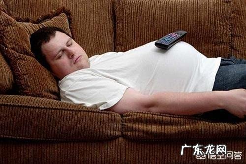 想跑步锻炼身体,一天中什么时间跑步最合适?