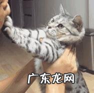 女生会怎么看待没有对象的男生?