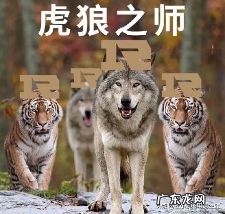 如何看待没有UZI的RNG德玛西亚杯夺冠?