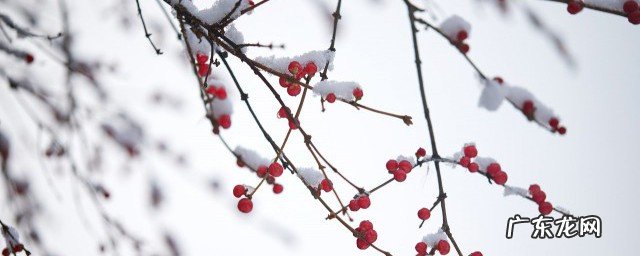 下雪最伤感的句子