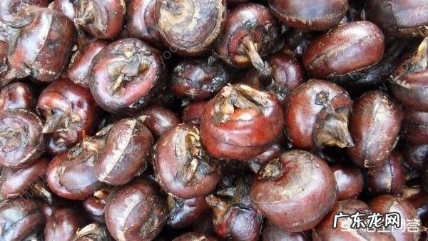 荸荠有那些营养价值？