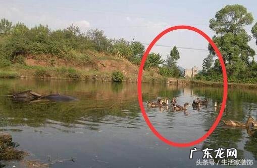 桥边上的房子风水 房子在桥附近风水