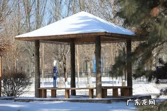 辽宁省普通高等院校沈阳师范大学 十九 沈阳师范大学研究生院地址