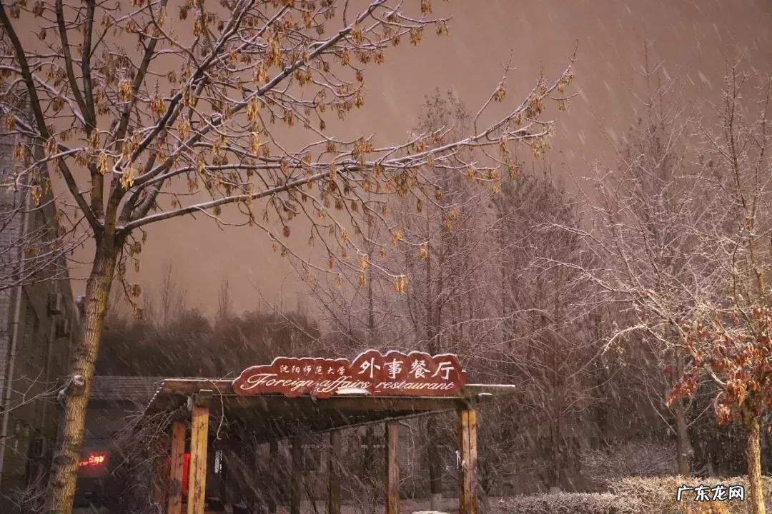 辽宁省普通高等院校沈阳师范大学 十九 沈阳师范大学研究生院地址