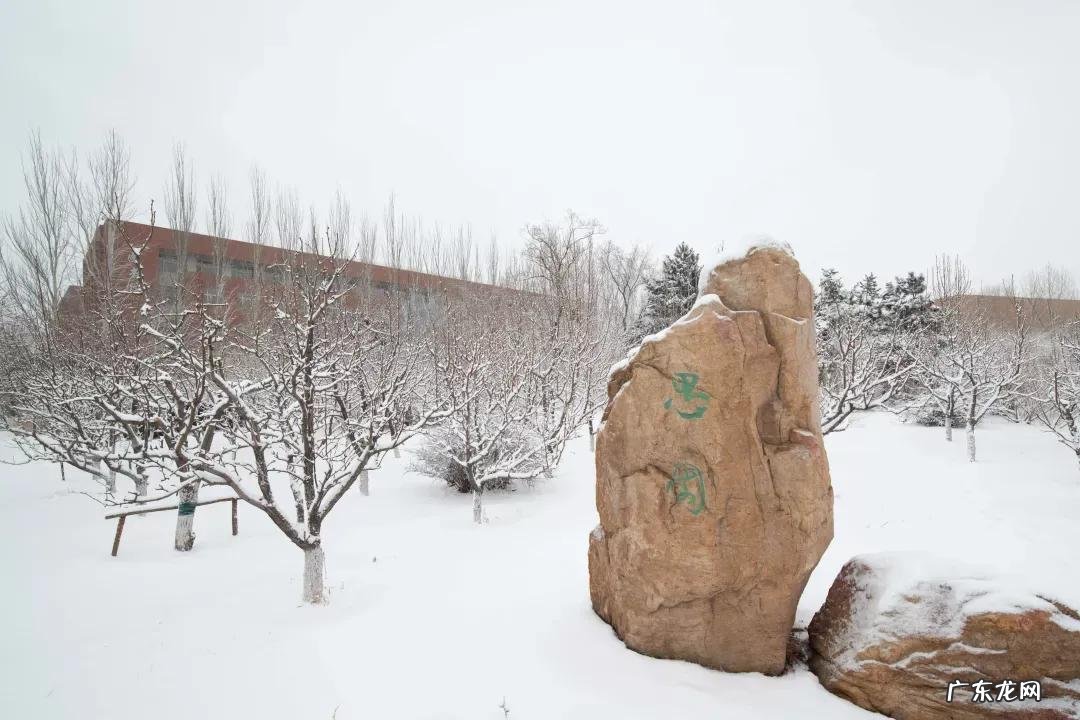 辽宁省普通高等院校沈阳师范大学 十九 沈阳师范大学研究生院地址