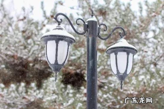 辽宁省普通高等院校沈阳师范大学 十九 沈阳师范大学研究生院地址