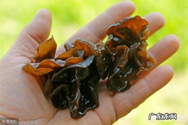 如果长期吃木耳会有哪些意想不到的好处?