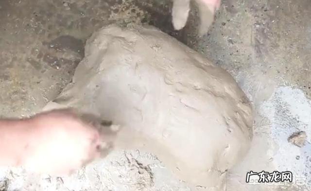 想做叫花鸡,有哪些好的做法?