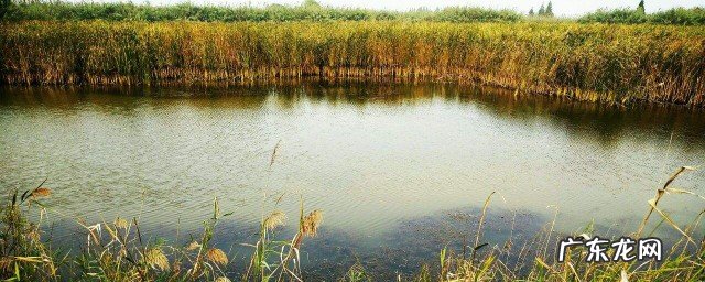 自然保护区的作用包括什么