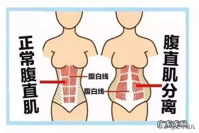 产后修复顺序是什么?