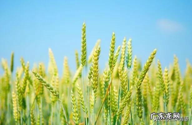 马伊琍文章离婚事件持续发酵，现代婚姻追求的是什么？婚姻价值观又是什么？