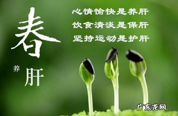 春季养肝需要注意些什么?