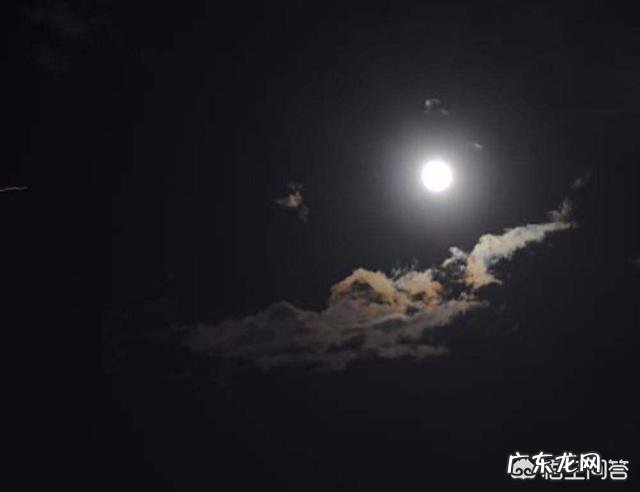 你觉得古诗中最能表达我想你的诗句,是哪一句?