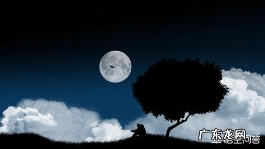 你觉得古诗中最能表达我想你的诗句,是哪一句?