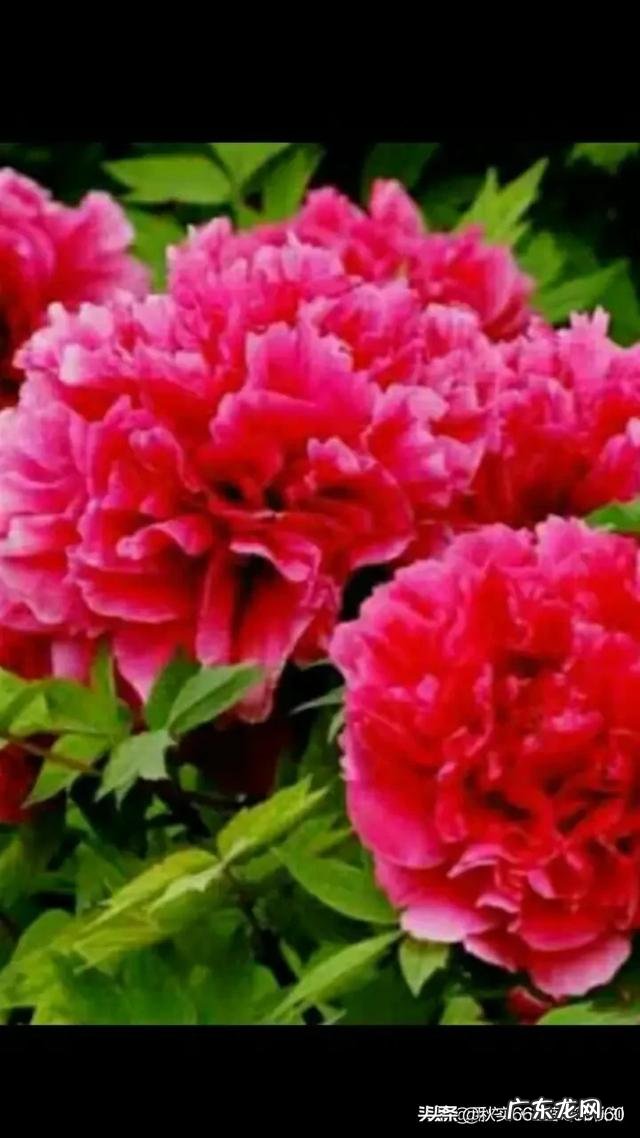 如何教孩子使用好词好句？