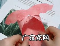 网红飞机怎么做 快来试试