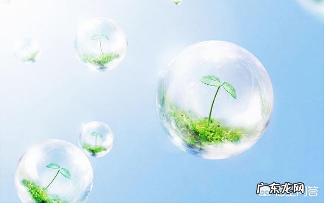 在家庭关系中,夫妻关系是最最最重要的吗?