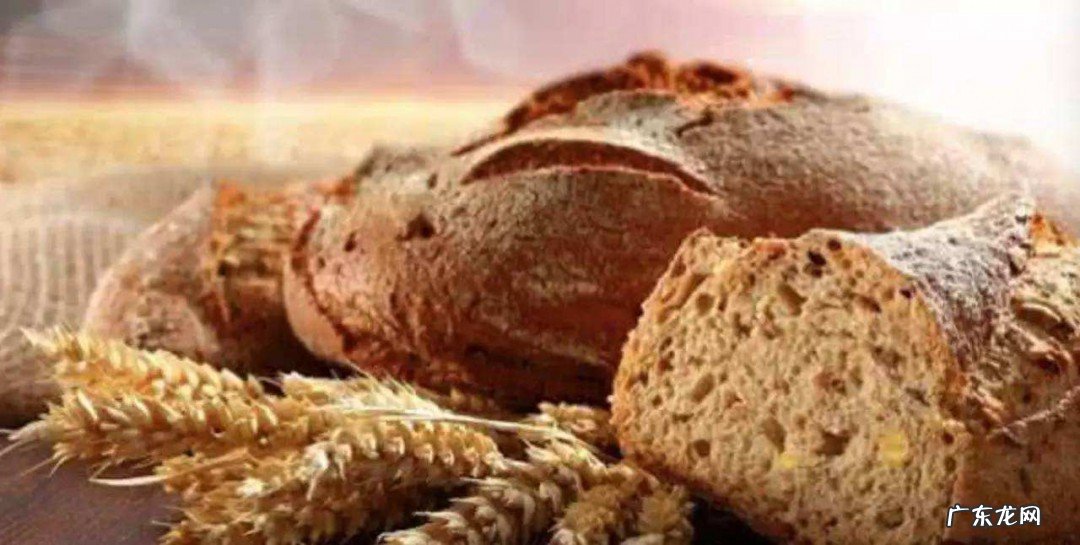全麦面包的功效与作用