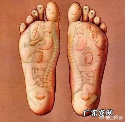 “立冬补冬,补嘴空”!立冬节气有啥习俗?该如何进补?