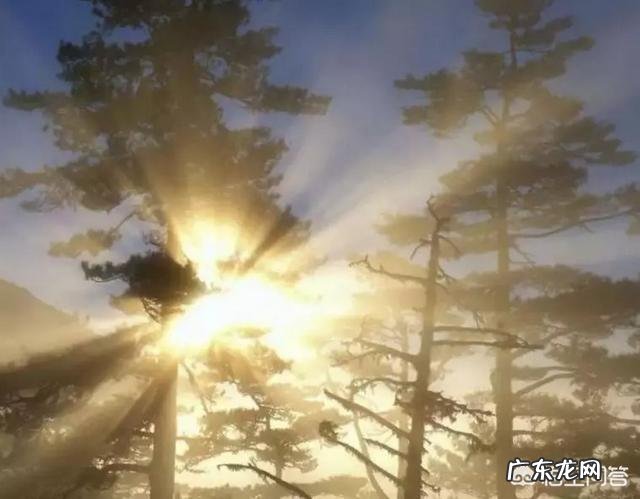 “立冬补冬，补嘴空”！立冬节气有啥习俗？该如何进补？