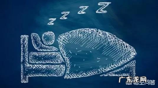 “立冬补冬，补嘴空”！立冬节气有啥习俗？该如何进补？