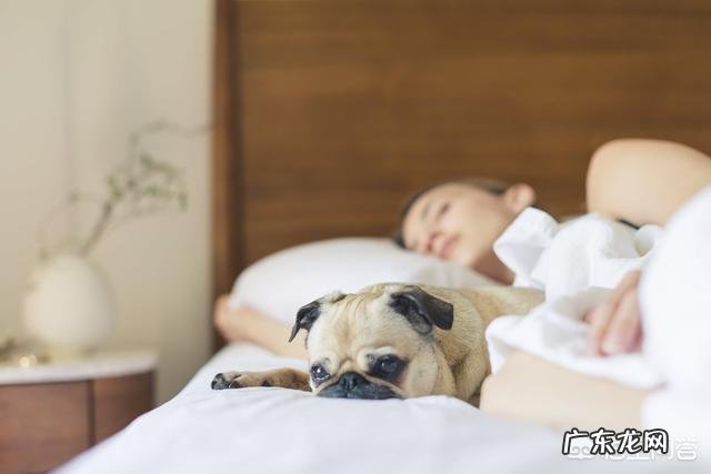 有什么食物可以养肝？