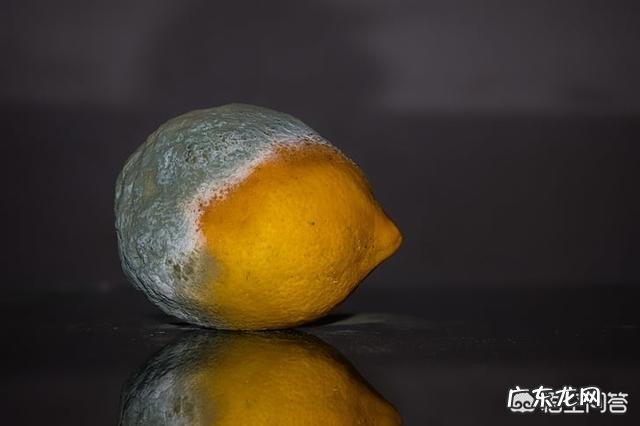 有什么食物可以养肝？