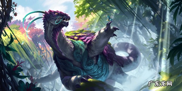 以符文大陆为背景的小说 符文大陆传奇