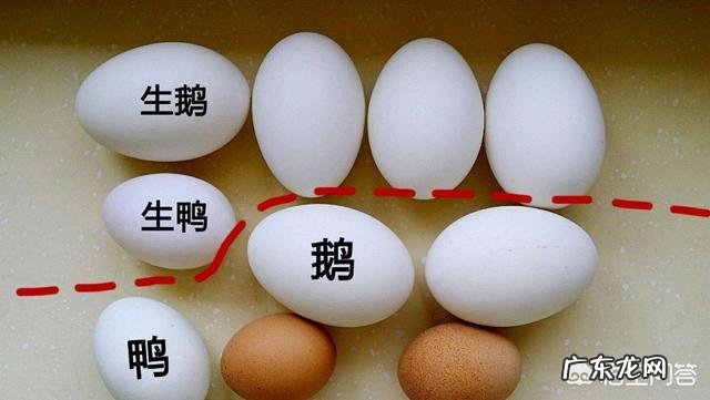 鹅蛋怎么做好吃?孕妇能吃吗?