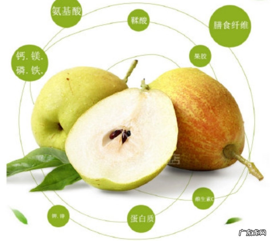 香梨产地是哪里 香梨产地在哪里