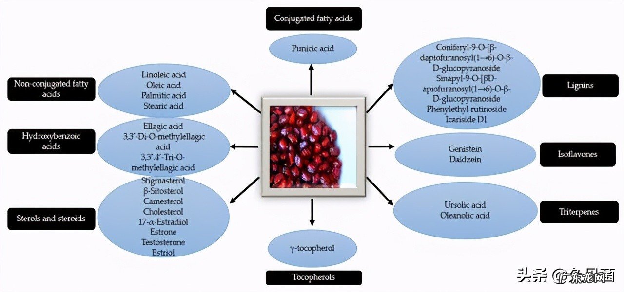吃菠萝体液会变甜 吃菠萝女生水会变甜吗
