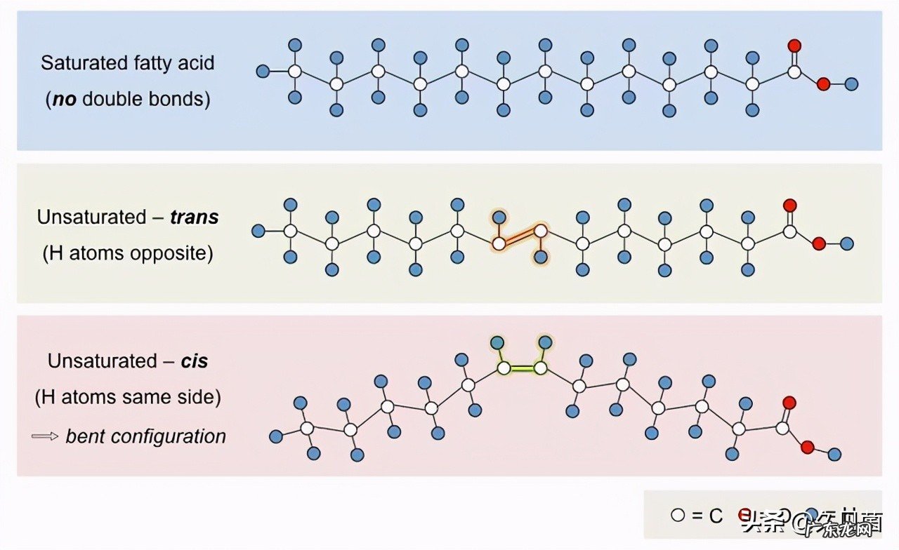吃菠萝体液会变甜 吃菠萝女生水会变甜吗