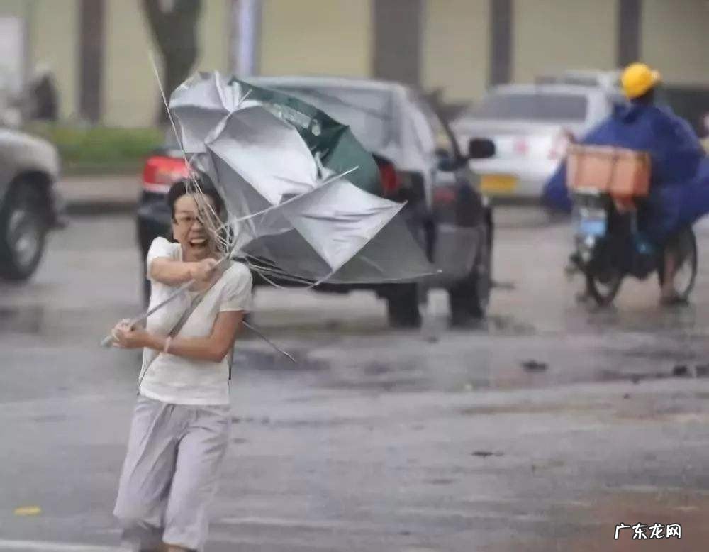 一般台风来了有雨吗