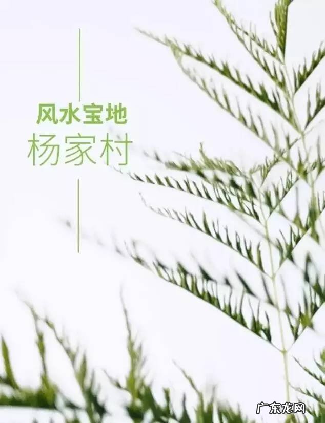 把西山的房子风水 西大山的房子风水