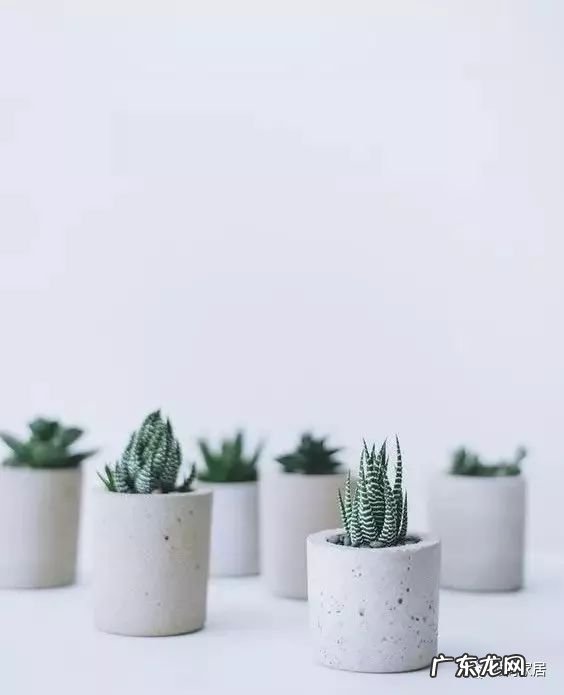 侘寂风别墅 水泥风格民宿