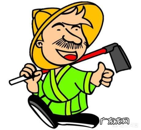 知识分子在社会中起着什么样的作用？