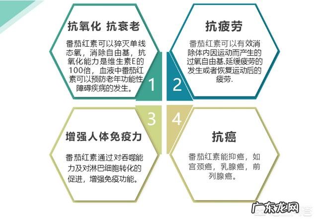 番茄红素有什么具体作用?