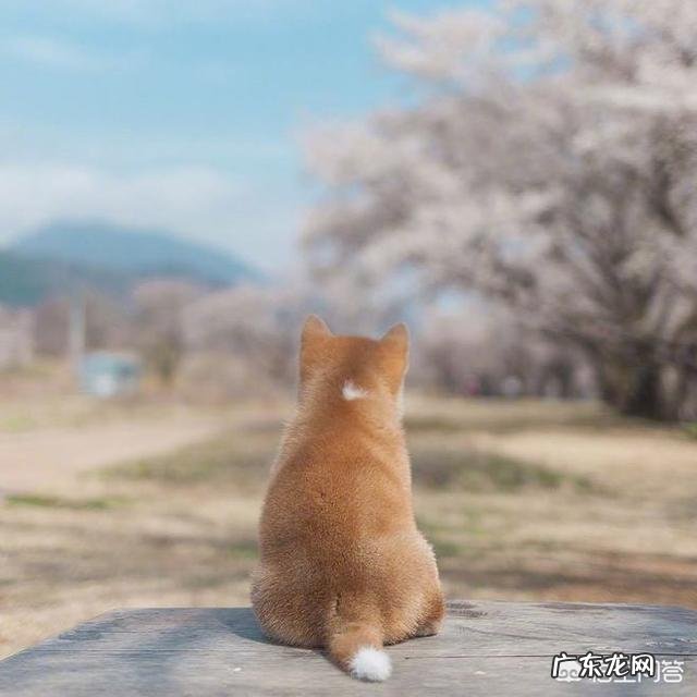 躁郁症 和“双相情感障碍症”患者聊什么话题?如何打开心结?