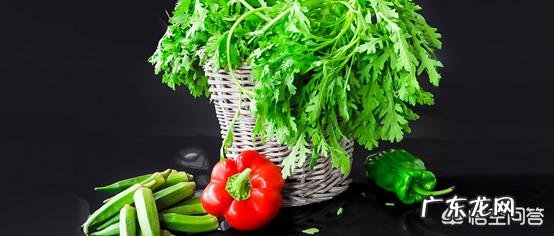 茼蒿被称为“皇帝菜”,有什么历史缘故吗?茼蒿有哪些好的吃法?