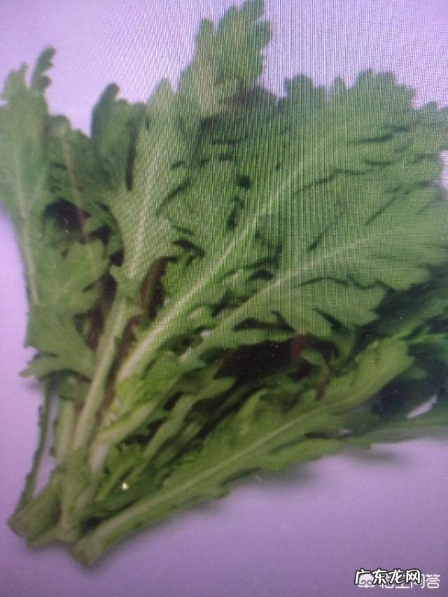 茼蒿被称为“皇帝菜”,有什么历史缘故吗?茼蒿有哪些好的吃法?