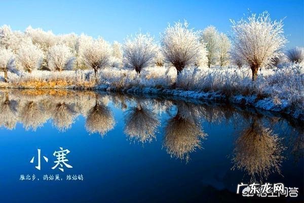 小寒应该吃什么?