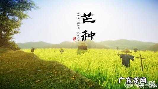 农村俗语“四月芒种麦在前,五月芒种麦在后”是什么意思?有道理吗?