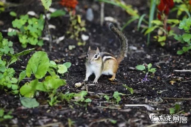 影视拍摄经常出的问题有哪些？