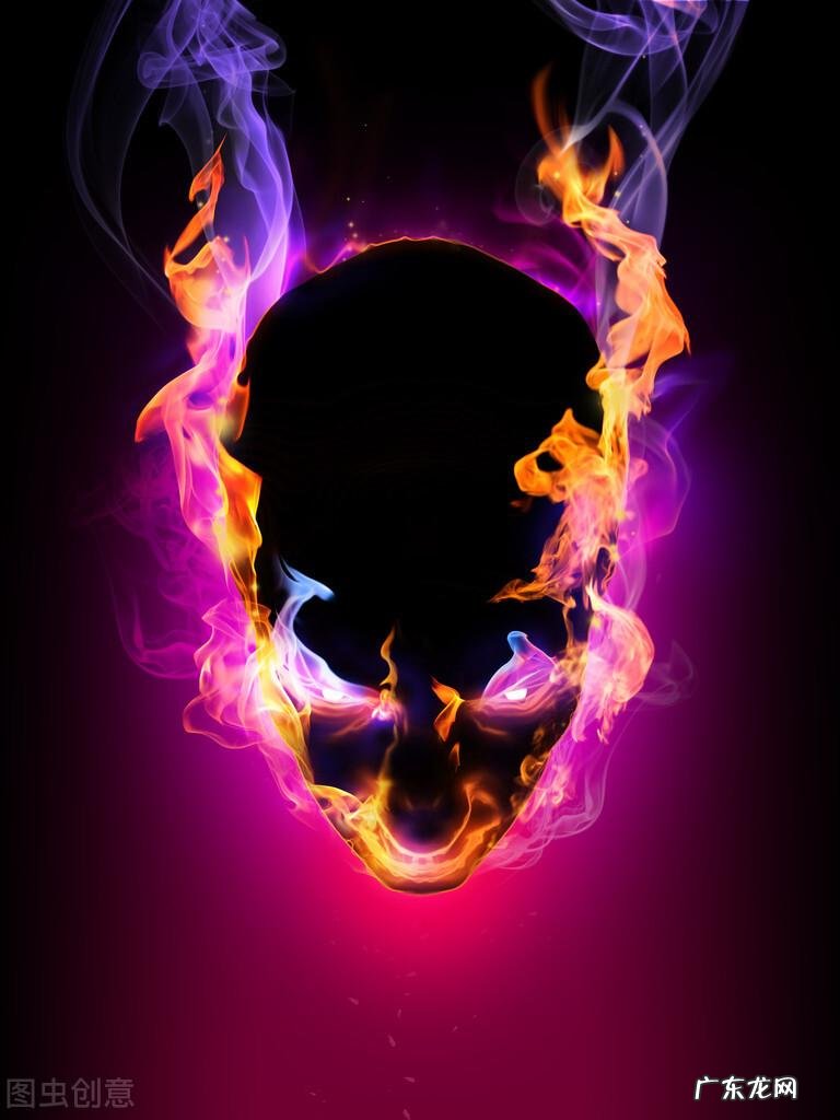 枪林弹雨手机版 枪林弹雨是什么意思