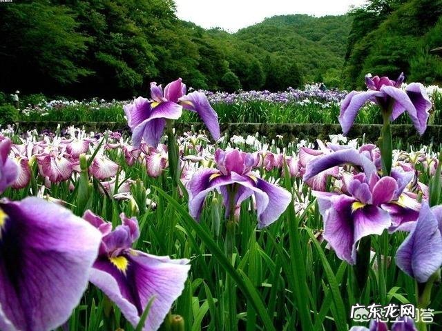 “男人不坏,女人不爱”这句话你认为有道理吗?为什么?