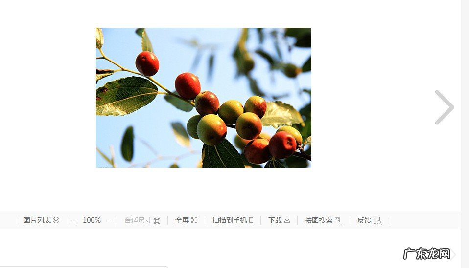 酸枣汤的功效与作用