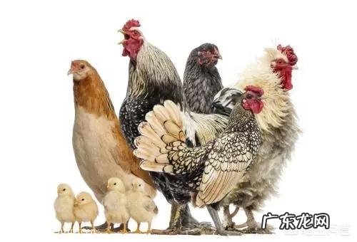 为什么女人掉头发特别多?什么原因?怎么预防?