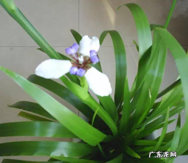 练闭气功 风水闭气是什么